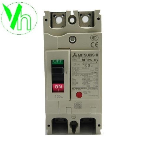 MCCB DỒNG KINH TẾ C SERIES NF125-CV 2P